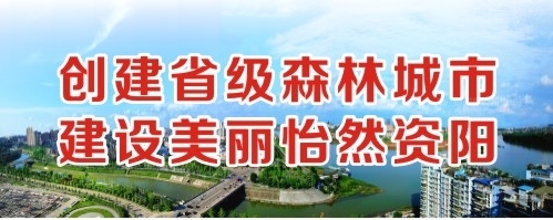 想看两根鸡吧操骚逼视频创建省级森林城市 建设美丽怡然资阳